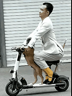 男人的妖娆无法阻挡，不管是开电动车还是街上溜达！
