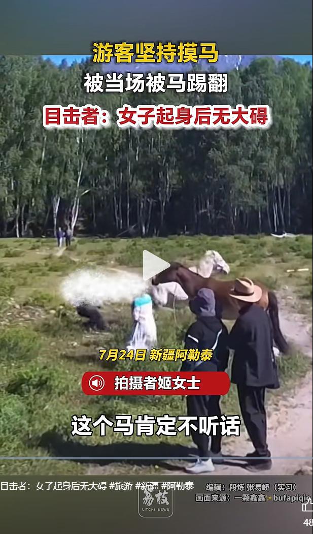 暑期新疆阿勒泰草原进入旅游高峰期，不少游客被草原马匹吸引，喜欢近距离靠近观赏、触