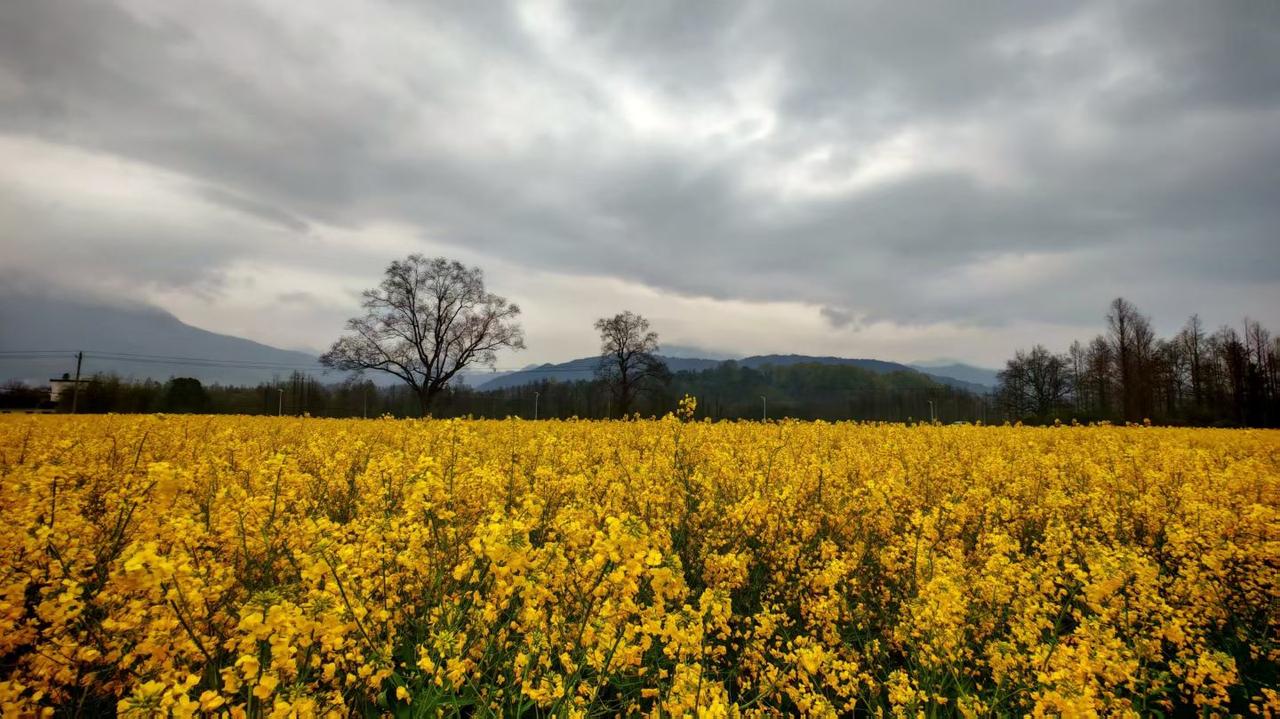 听老辈们说：习惯被人伺候的人，看似在享福，实则在透支福报老辈人常挂在嘴边的