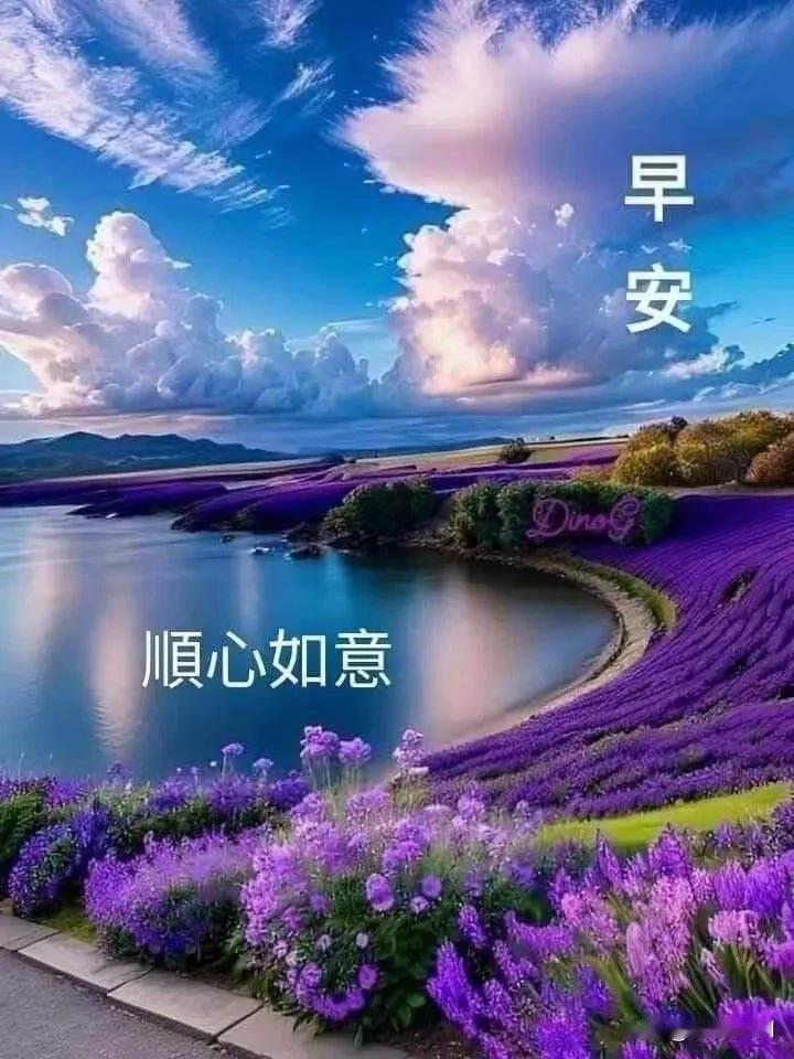 一湖风光，满目繁花，愿你晨起有微笑，所遇皆美好