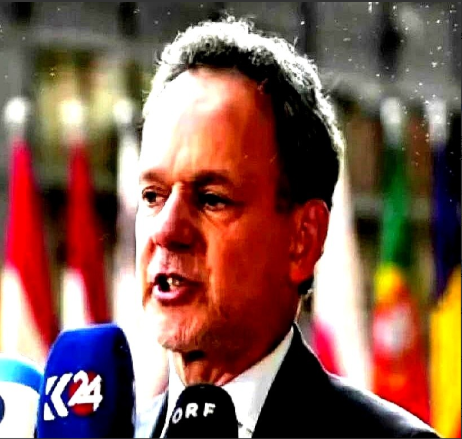 5月23日，荷兰外交大臣费尔德坎普在访华期间说：“我们注意到，中国在半导体领域的