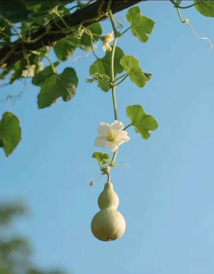 周日突发重磅消息，8月24日看盘重点深度剖析！周日传来新消息如下：据媒体报道