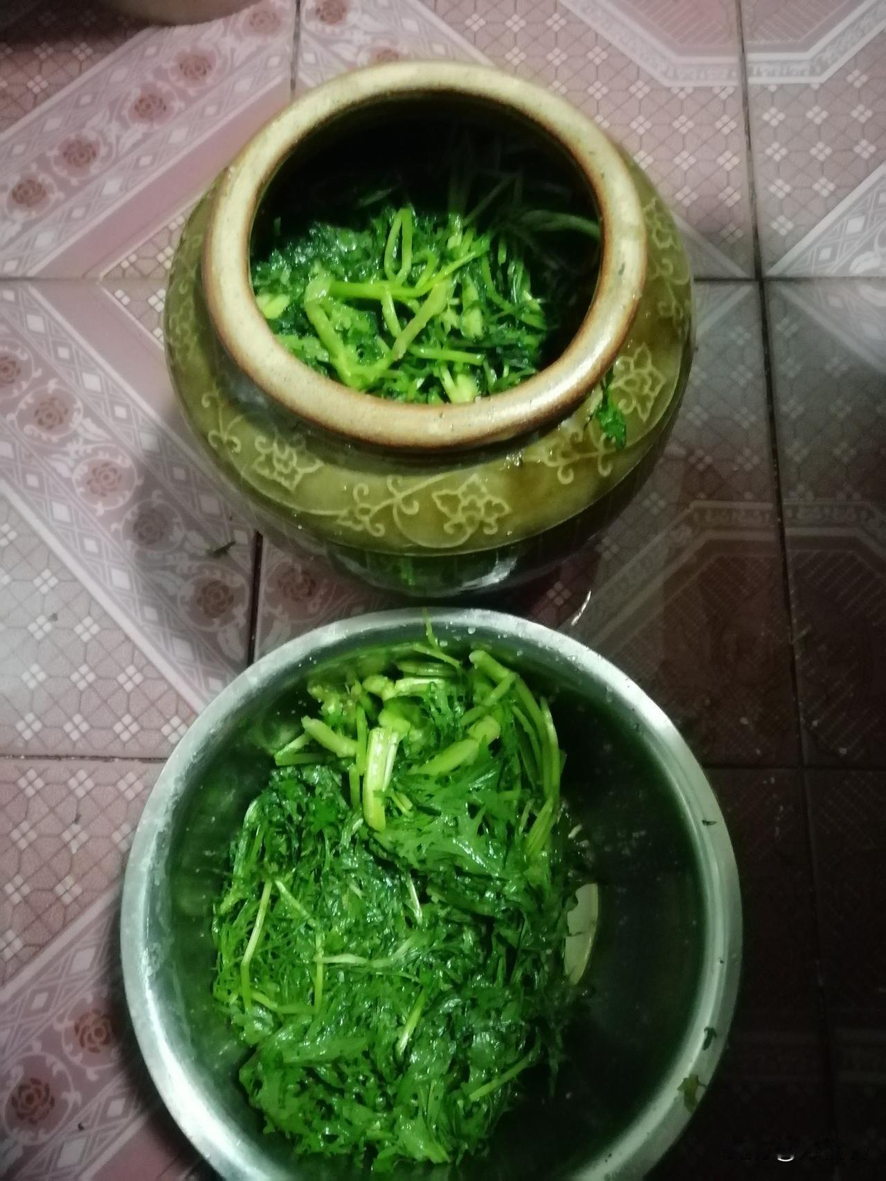 雪里蕻上市了，腌制过冬的东北咸菜正当时。而大连地区的气温在零上10°左右，还没有