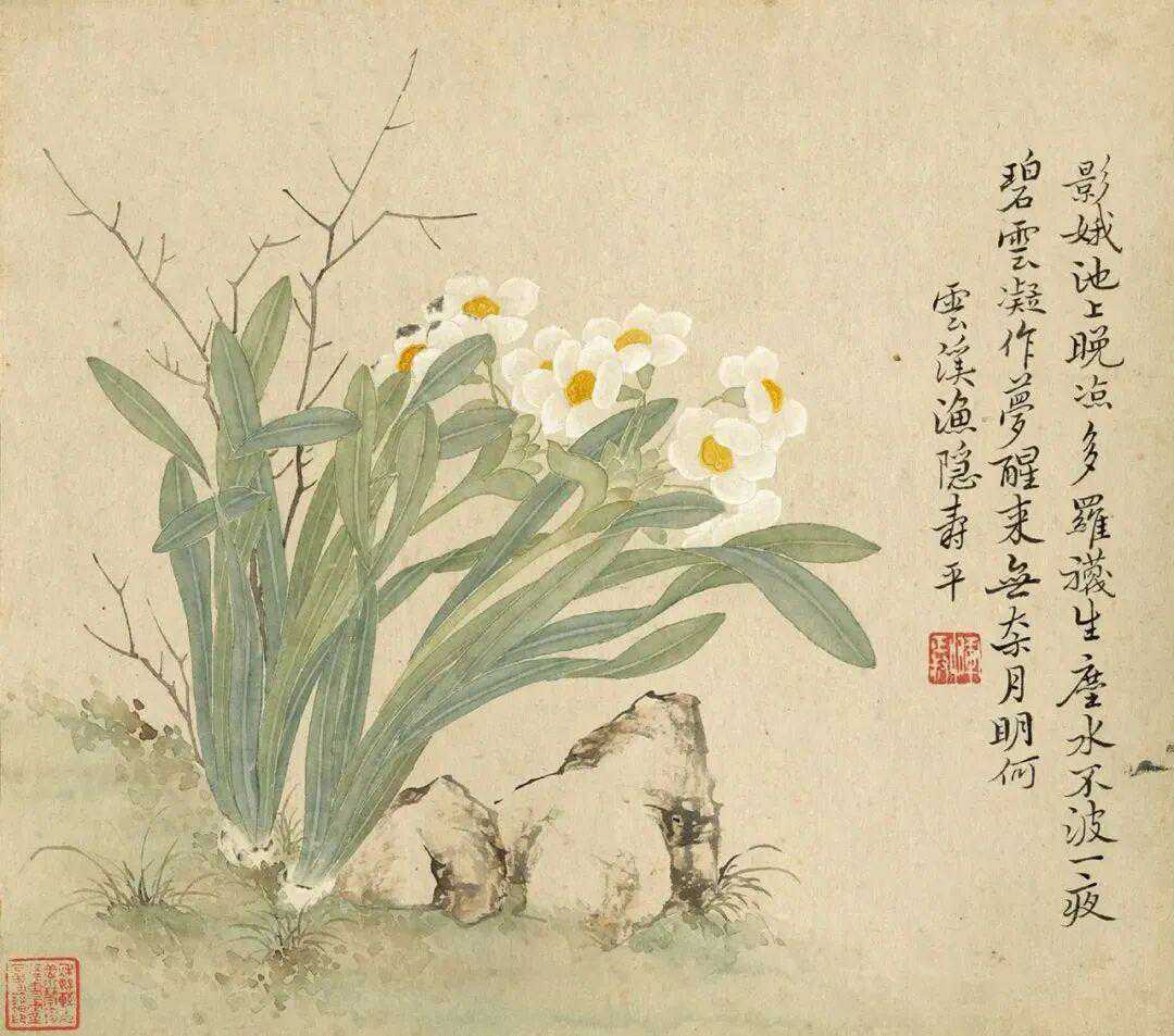 清恽寿平花果秋艳册。纸本十二开，27.0×30.0cm。花皆精细晕染，枝叶果