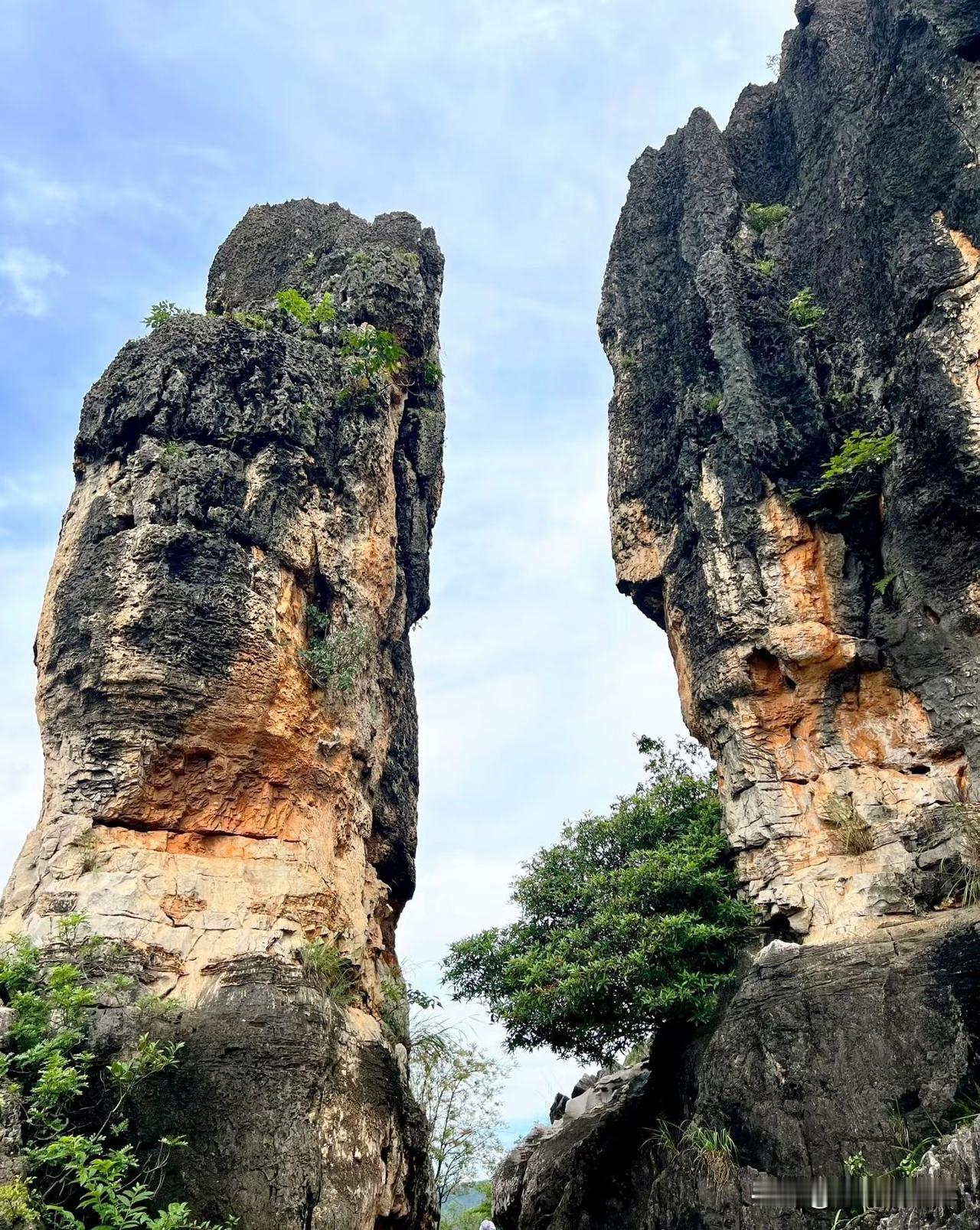 海枯了，石未烂！历经三亿年沧海巨变形成的自然奇观一云南石林，5A级景区，阿诗玛的