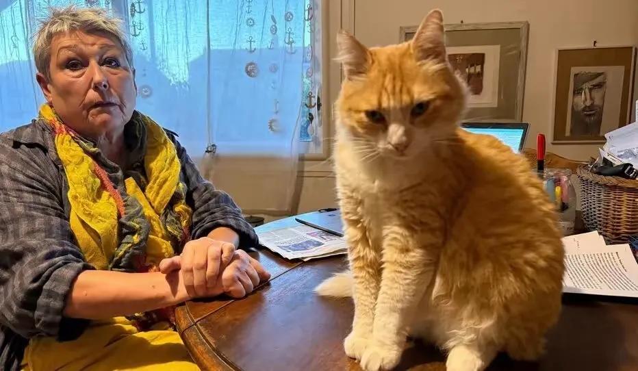 一位法国老太太收养了一只中国大橘猫，养了还没有一个月，就被邻居起诉到法院，被判赔