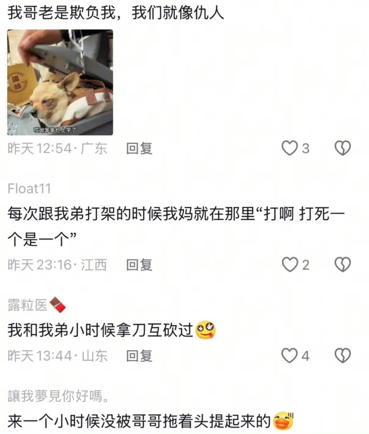 当别人说：好羡慕你有兄弟姐妹​​​