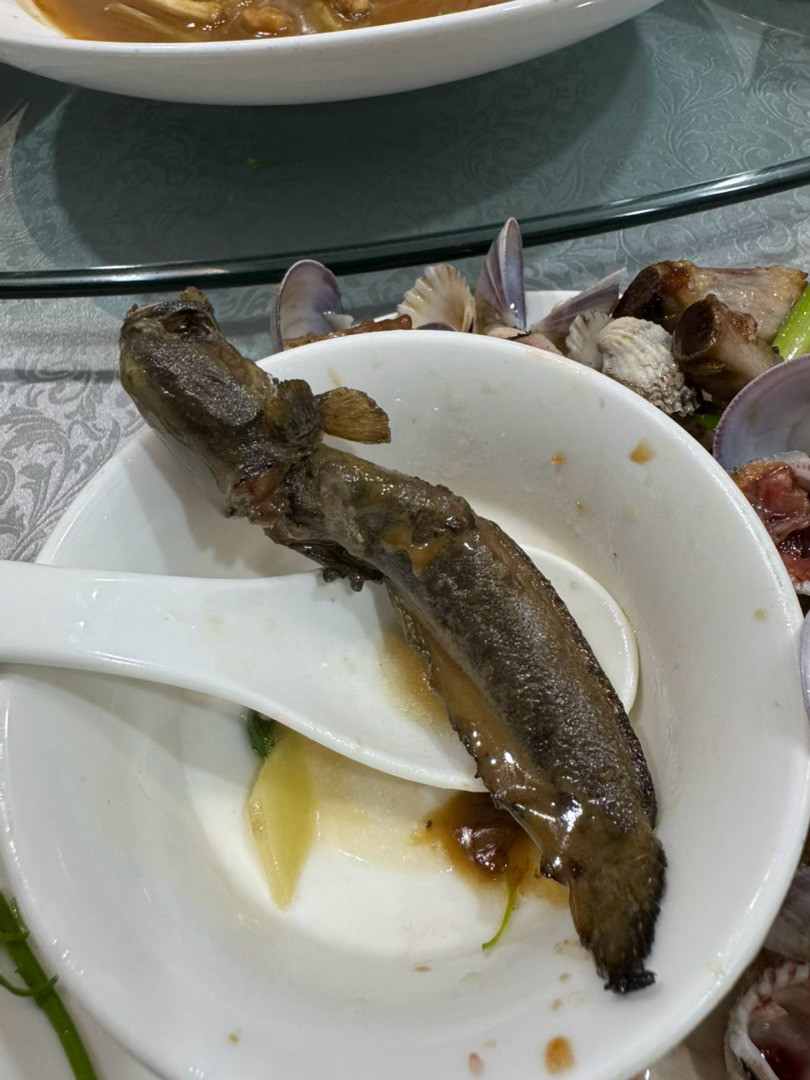 最近一两周吃到的有意思的菜安亭镇上有一家叫陈师傅鹅馆的饭店，门面极小，装修很破，