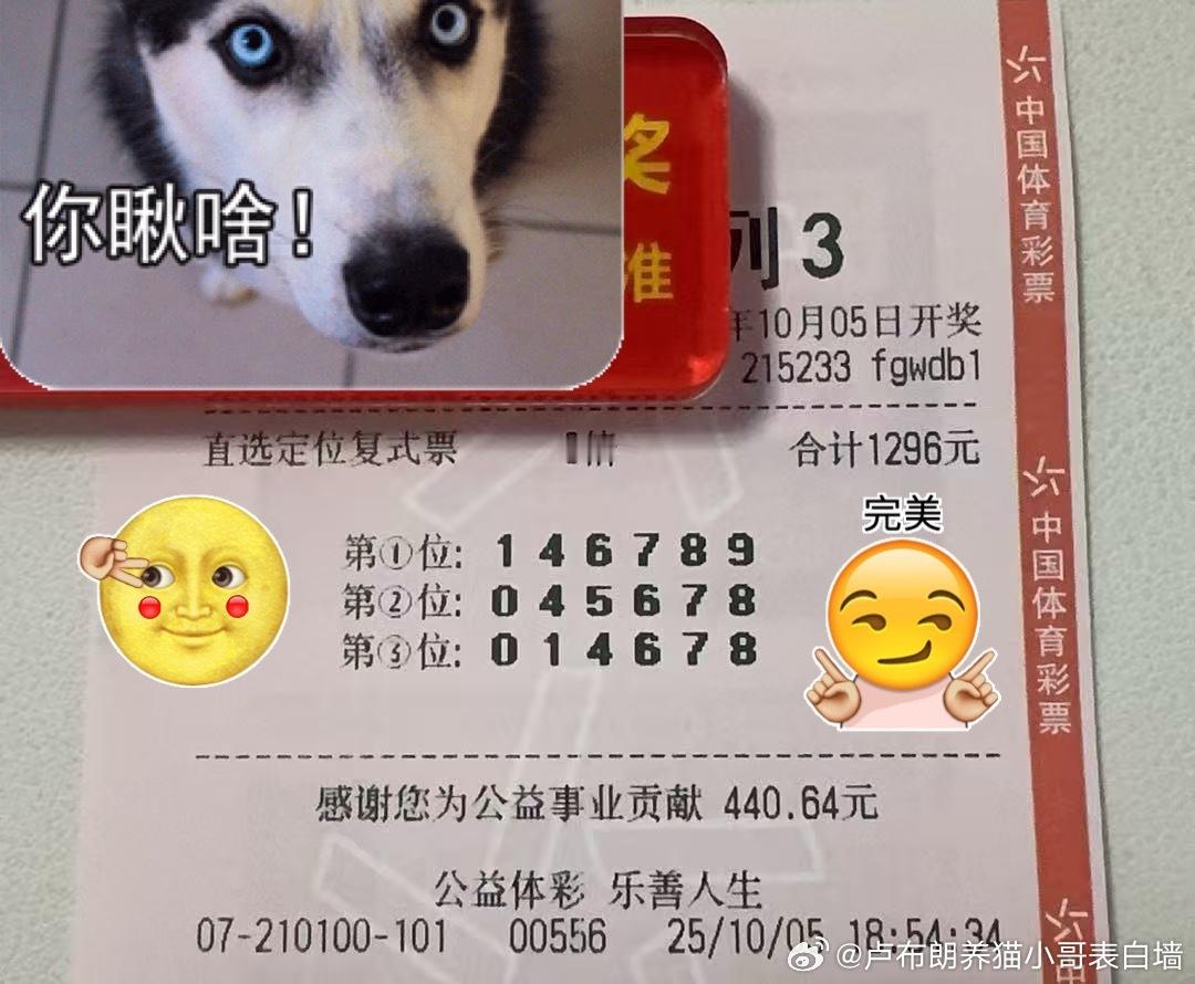 10.5今日排列三分享排列三分析爱情不是中了彩票，而是两个人一起经营的公司，用