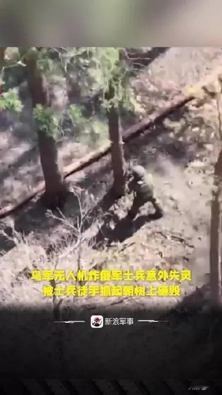 疯传！俄兵遭无人机锁定，捡树枝硬刚反杀哈尔科夫战场视频爆火：乌军FPV自杀