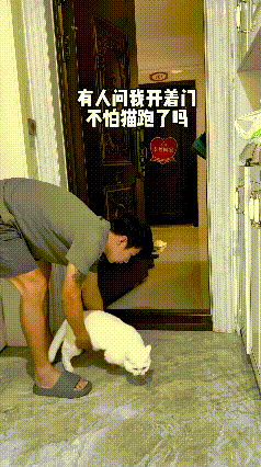 总有人问开门不怕猫咪跑丢吗，朋友还一直不信，主人干脆录视频实测。把家门敞开，把小
