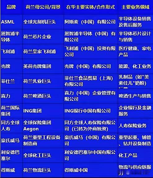荷兰政府估计做梦也没想到，强行接管，准确地说是抢劫一家百亿美元的中资旗下子公司，