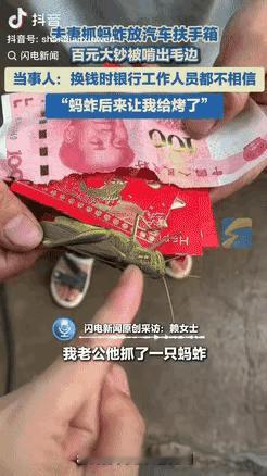 湖南永州，一夫妻抓了只蚂蚱，随手放在了汽车的扶手箱里，结果下车时，把蚂蚱忘在车上