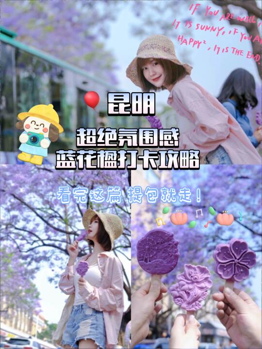 谁懂昆明蓝花楹的超绝氛围感啊！我先打卡为