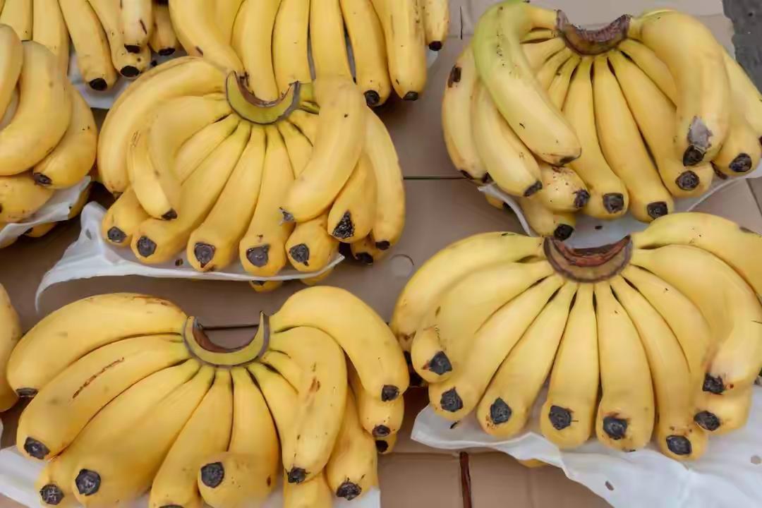 专家调查：胃病患者若经常吃香蕉，过不了多久，身体或有4个改变香蕉这种东西，