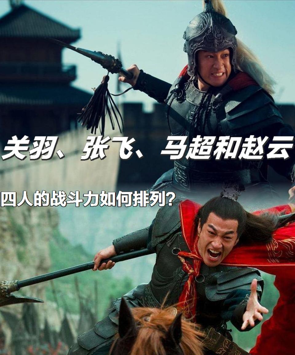 三国里唯一能打败赵云的大将，赵云对他心服口服在三国的乱世风云中，名将辈出，赵云