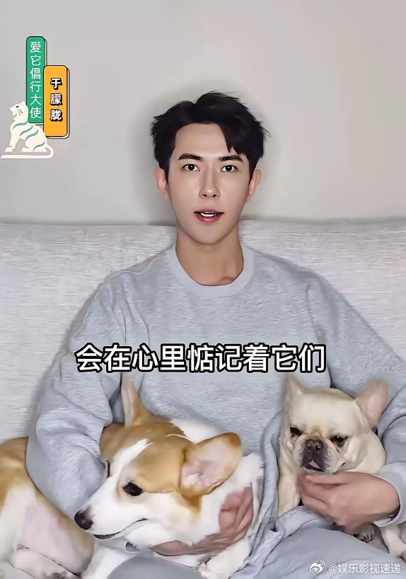 养狗的人，怎么可能没安排好狗，就自/杀？不可能！​于朦胧的福丽和火腿，养了6年了