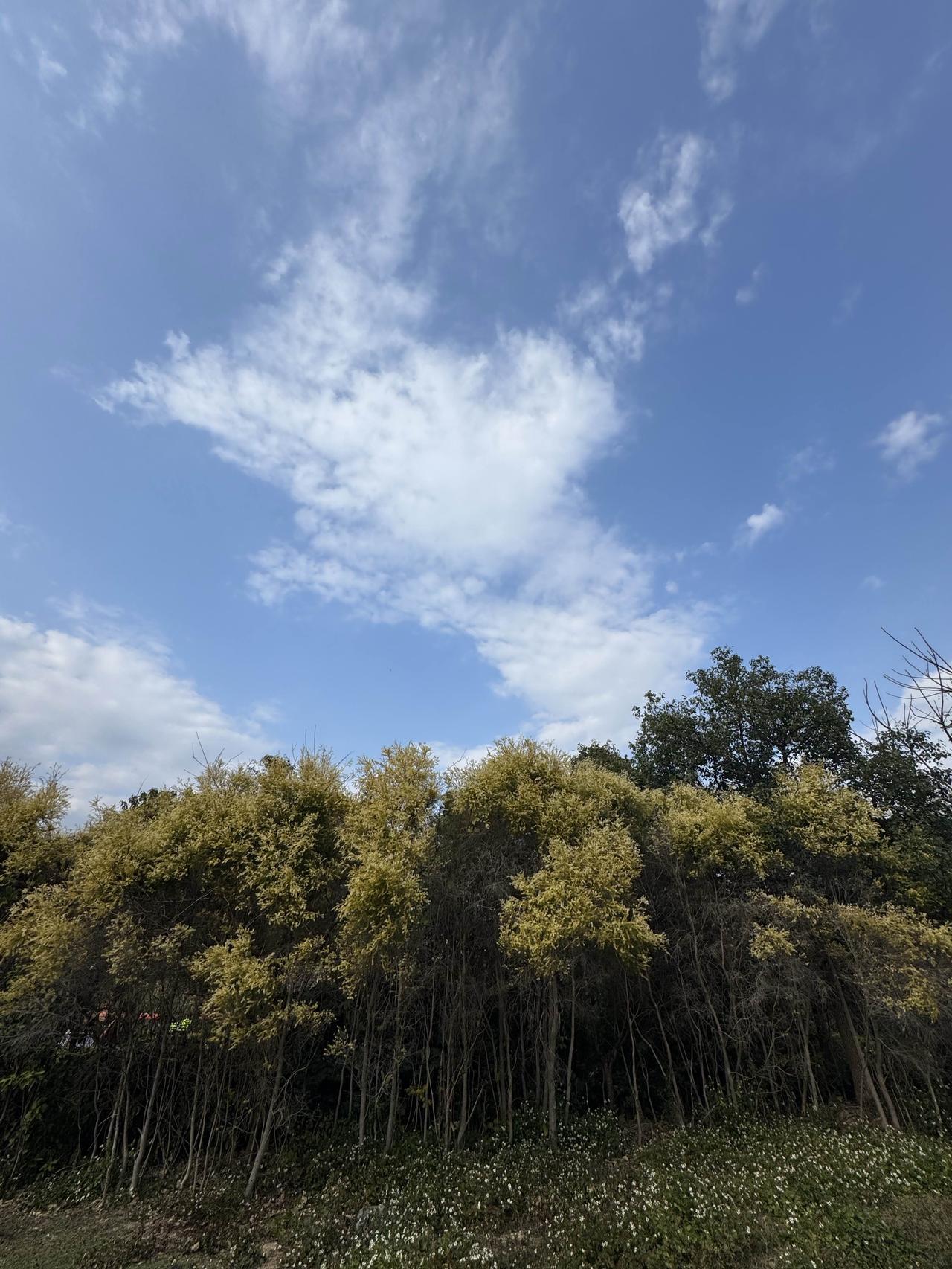 美伊战争最新战况。截至2026年3月2日6:30（北京时间），美伊冲突全面升级