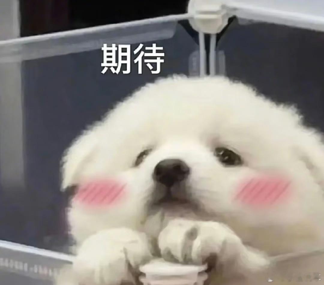 孟羽童称时隔两年收到董明珠微信时隔两年终于和解了，天呐，这就是最好的结果。​​