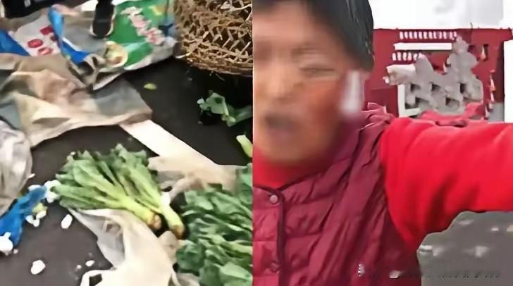 合肥985女研究生卖菜遭掀摊事件完整评析事件经过2023年安徽合肥，