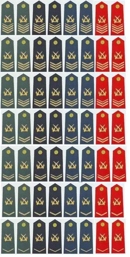 志愿兵、士官、军士，该如何区分？在现实生活或是网络上，总有人将志愿兵、士官、
