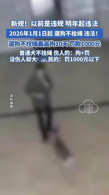 有没有人跟我一样？小区遇没拴绳的狗，比踩了狗屎还闹心！上次我家娃蹲楼下玩