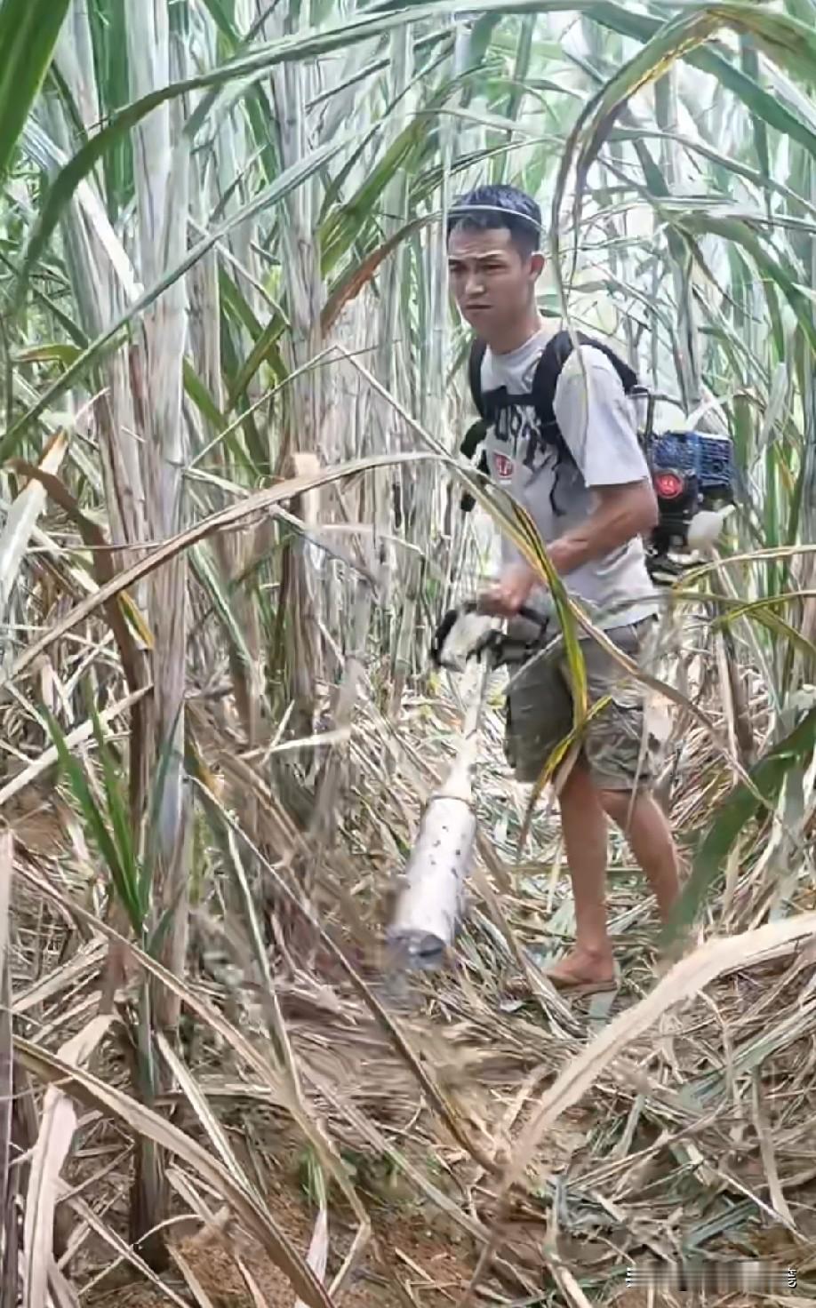 这工具效率太低了