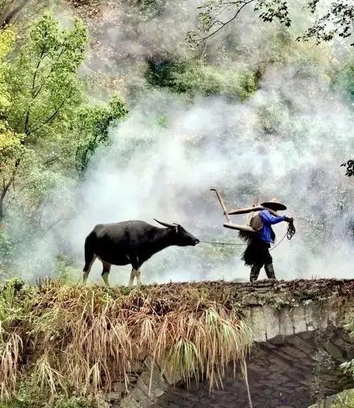 身在茅厕不觉臭我说的茅厕，不是如今干净的冲水卫生间，是六七十年代乡下老式旱