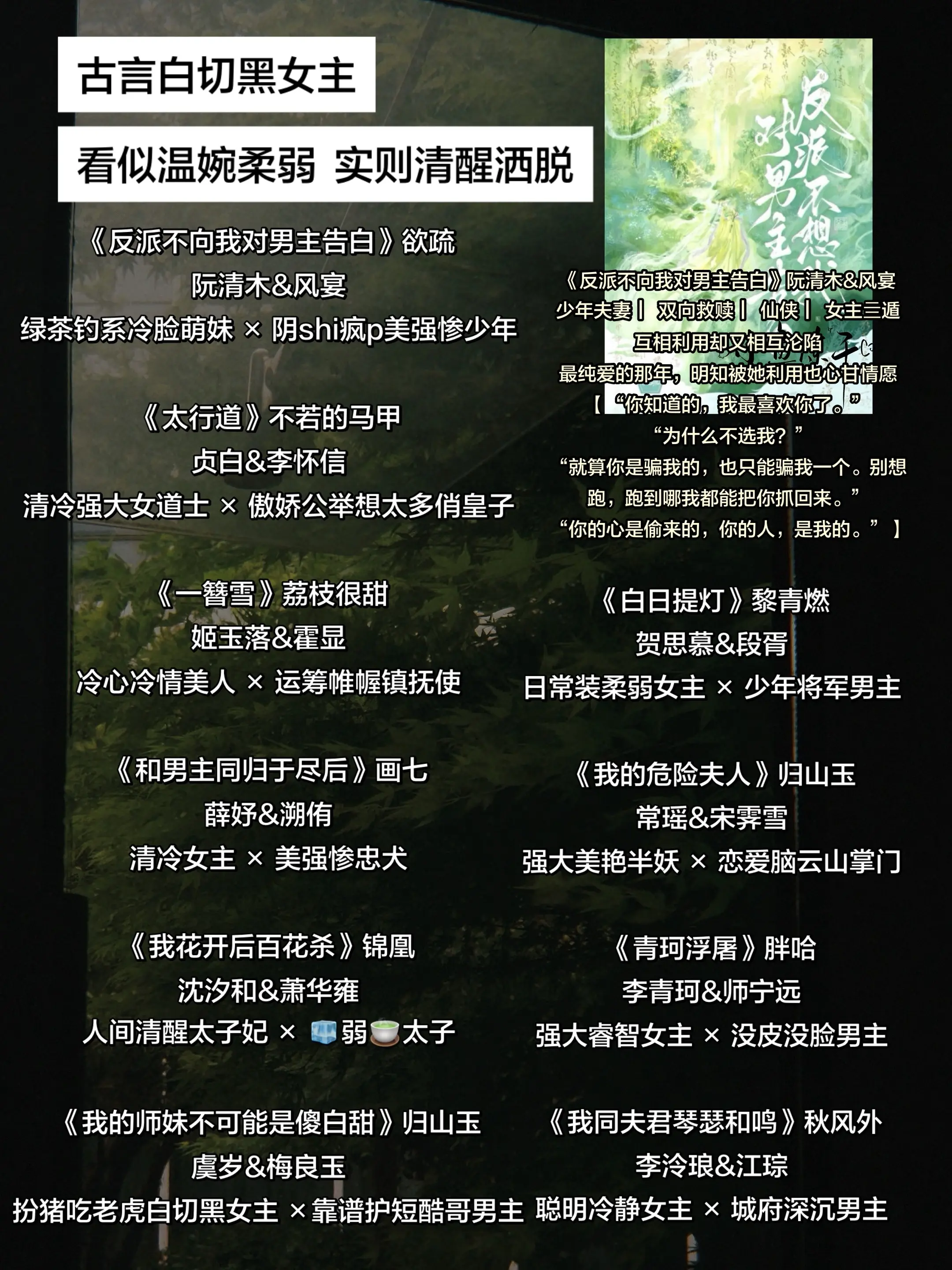 古言白切黑女主。