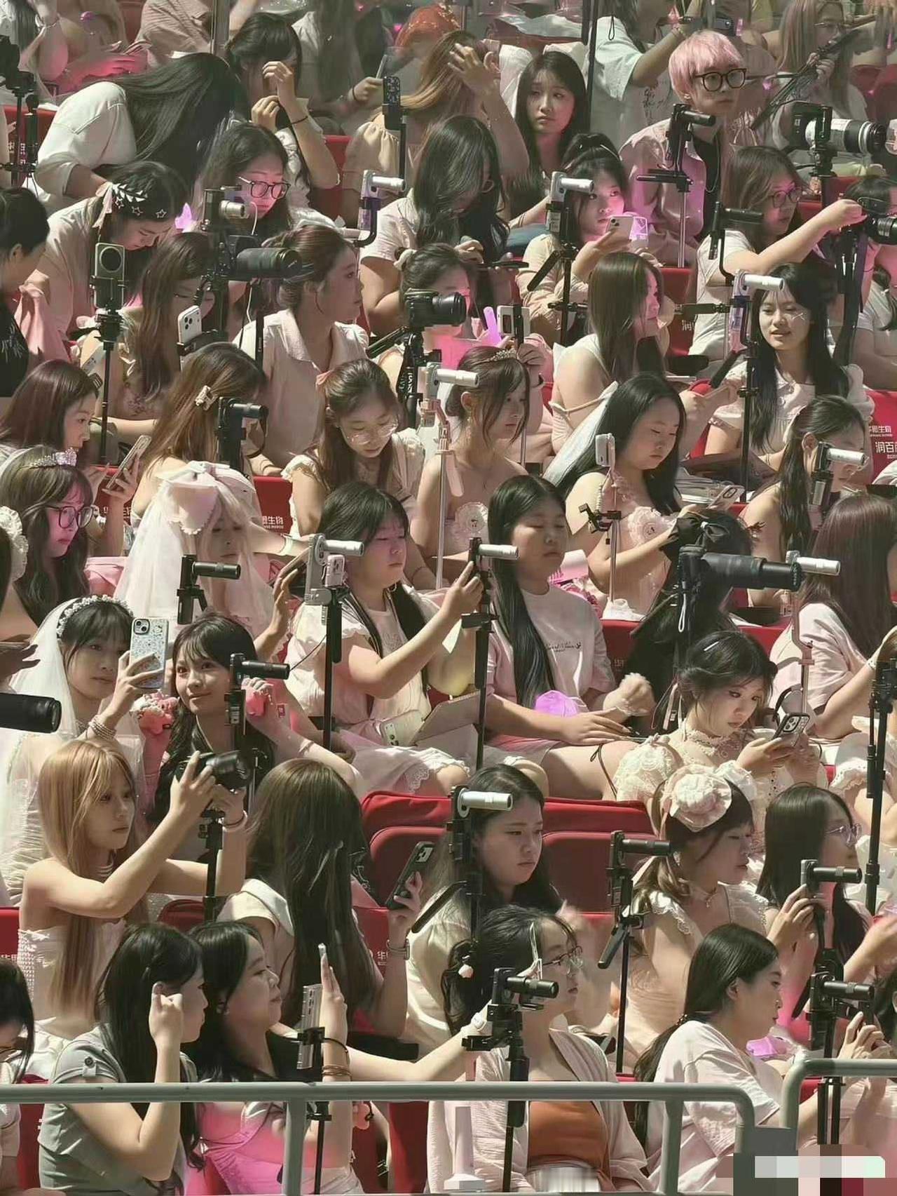 小仙女们都在干嘛