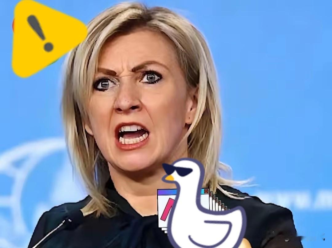 火力全开！12月20日，俄罗斯外交部发言人扎哈罗娃直接开怼欧盟峰会结果，直言欧盟