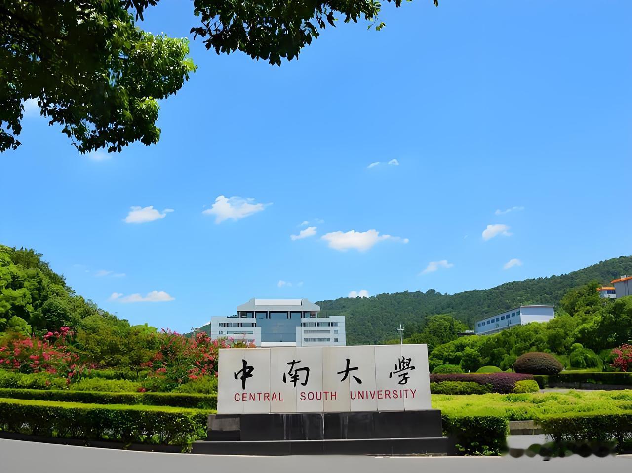 硕士论文举报事件愈发引人入胜了！近日，澎湃新闻披露中南大学2002届硕士费某