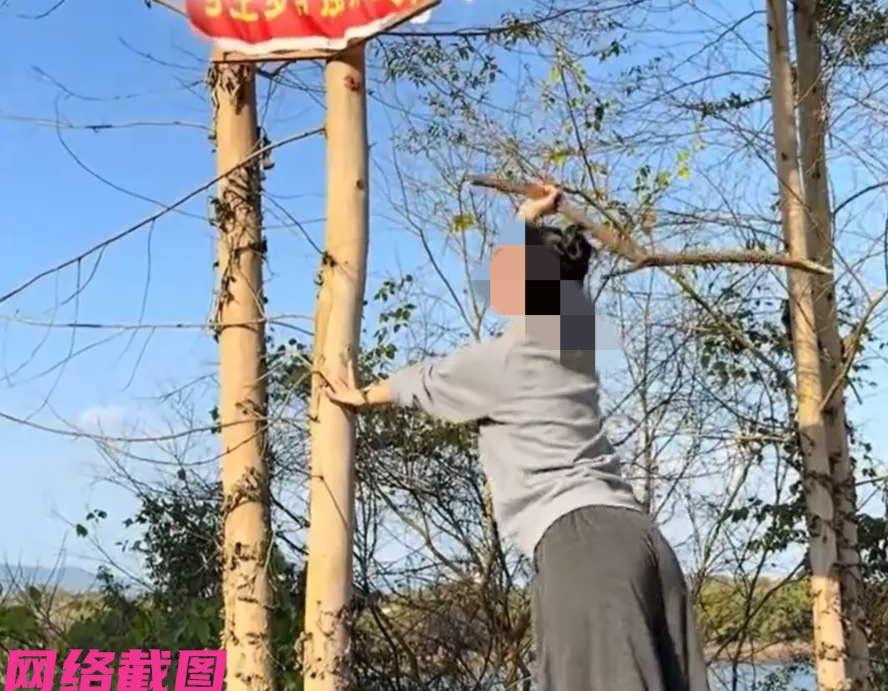 广东有女子周末和妹妹一起开车去城里游玩，只是去城里的这一段路途中，女子看到一幕令