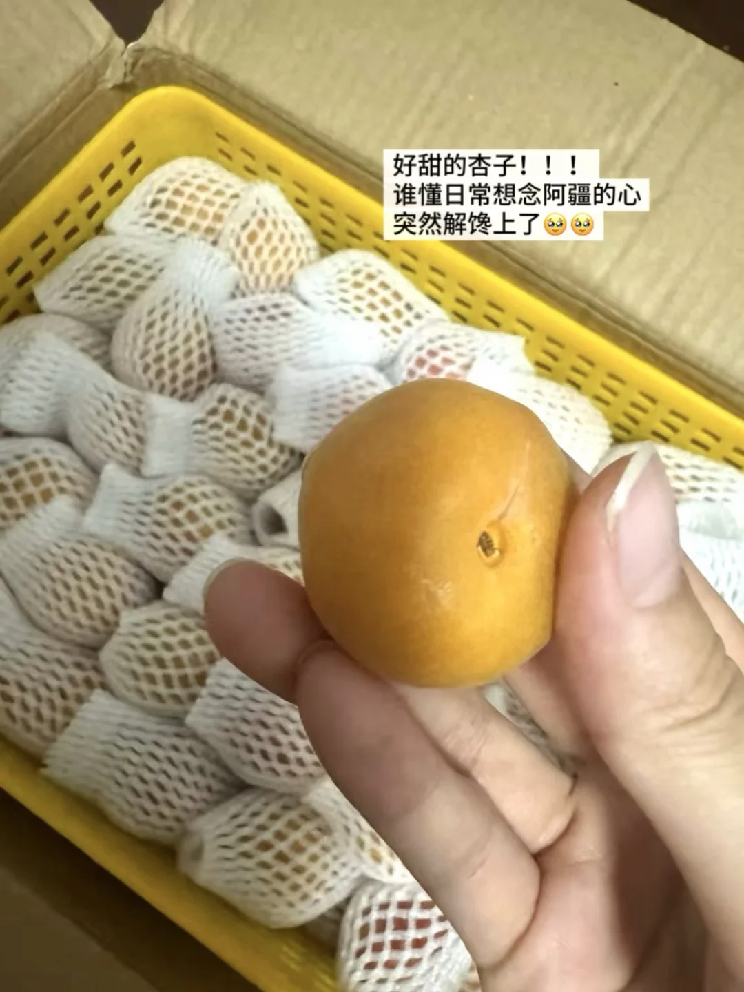 新疆太暖了！举手之劳就给我寄了一筐杏子🍑