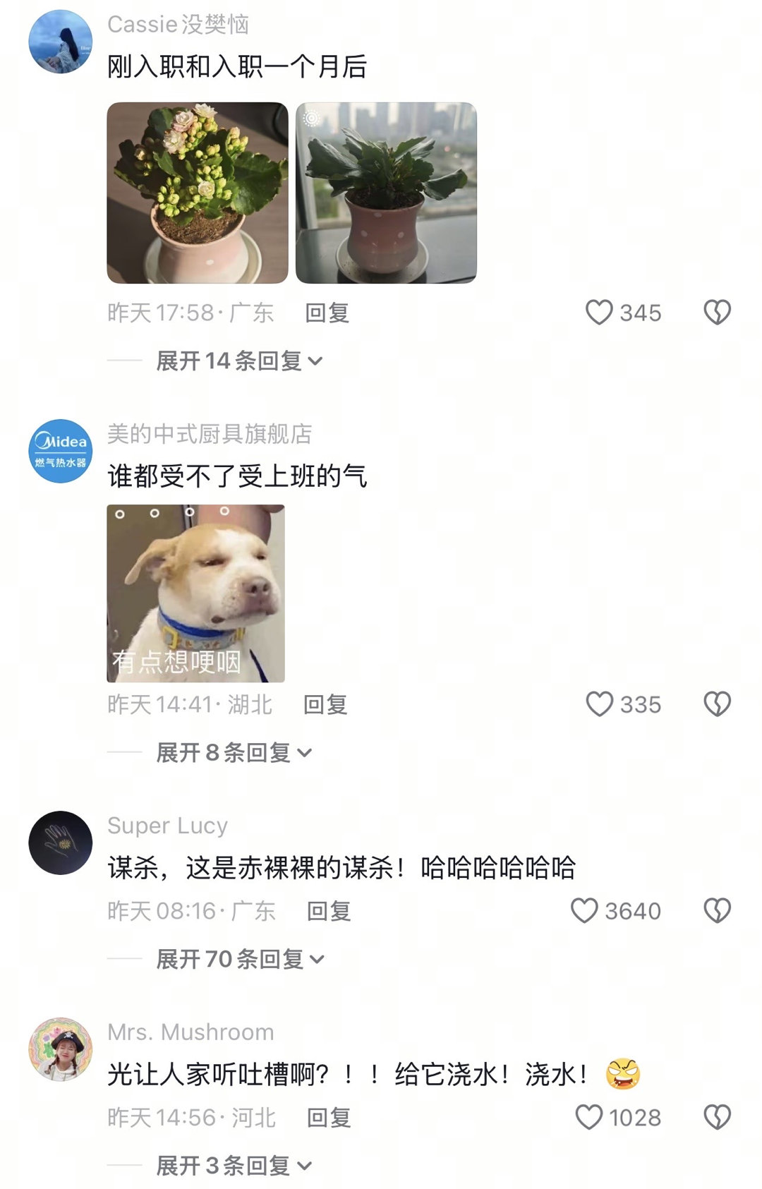 当我把压力说给单位的话花听