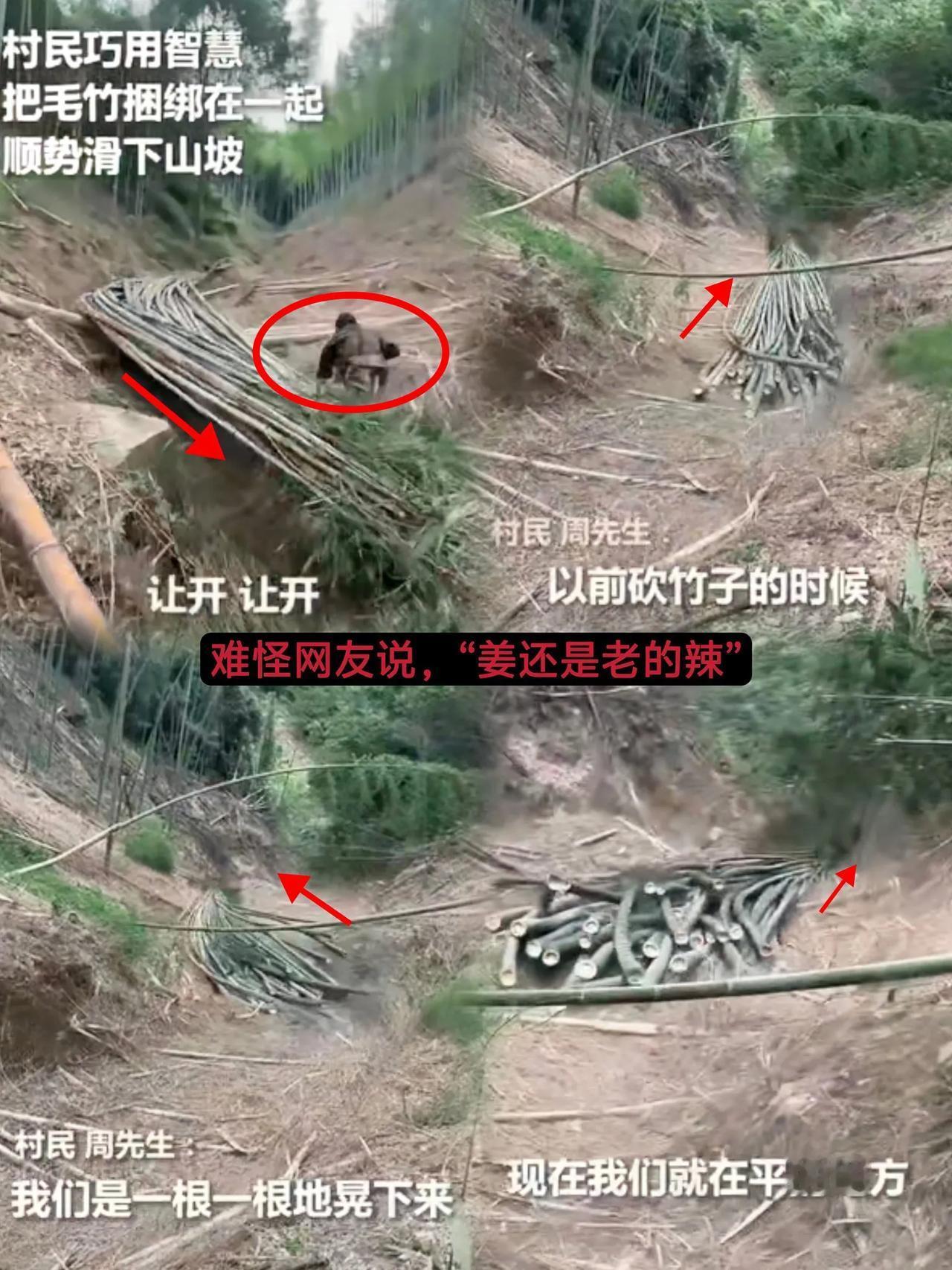 “哎呀，这真的是彻底解释不清啦！”浙江杭州发生了件超有趣的事儿。男子和父亲上山