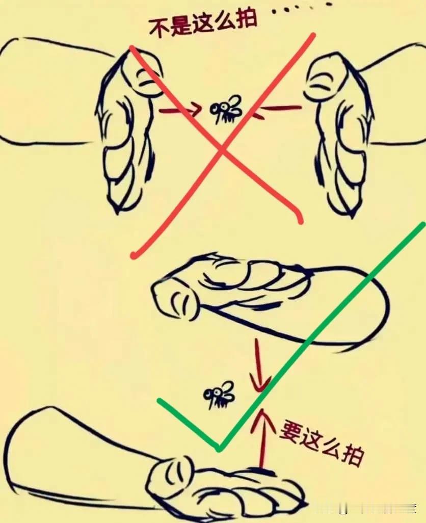夏天到了，给大家科普一个小知识，蚊子的正确消灭方法，这其中蕴含着丰富的物理知识哟