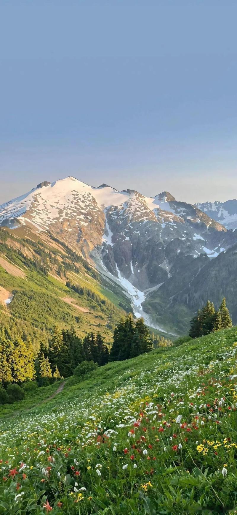壁纸山花漫过青草地，雪山静立远山，清风裹着山野温柔，治愈所有的疲惫与烦恼