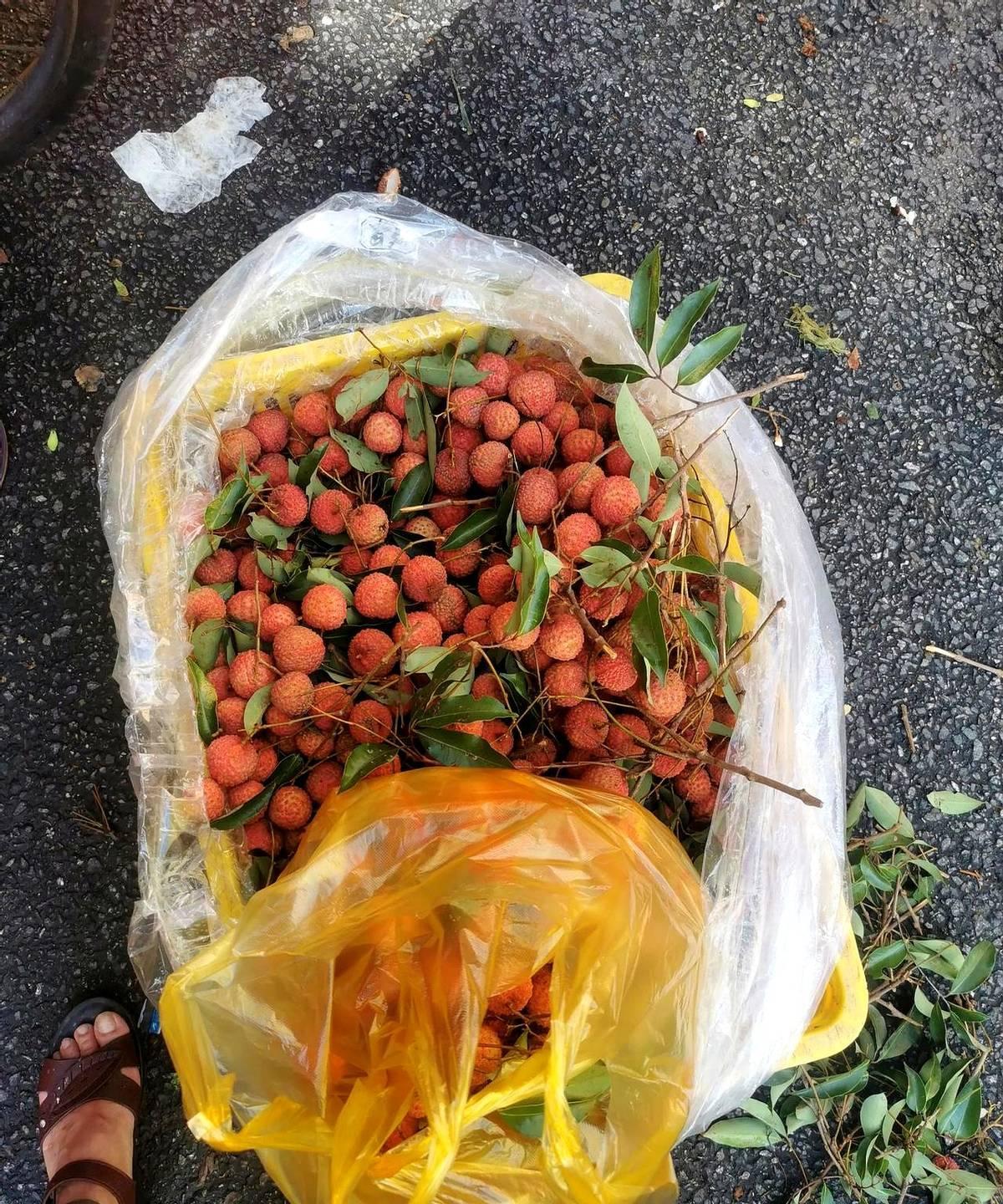 原来荔枝真的可以当食疗，经过半个月努力的吃荔枝，反正每天不少于3斤，发觉原来厚白