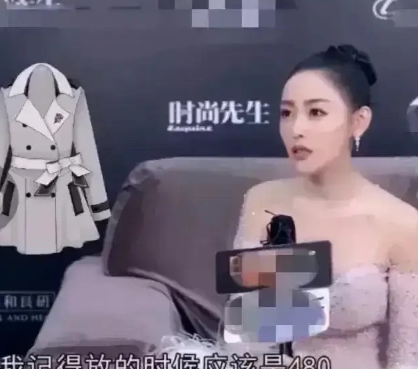 张天爱曾在节目上说：“我有一次在购物车里放了一件衣服，放的时候是480块钱，不过