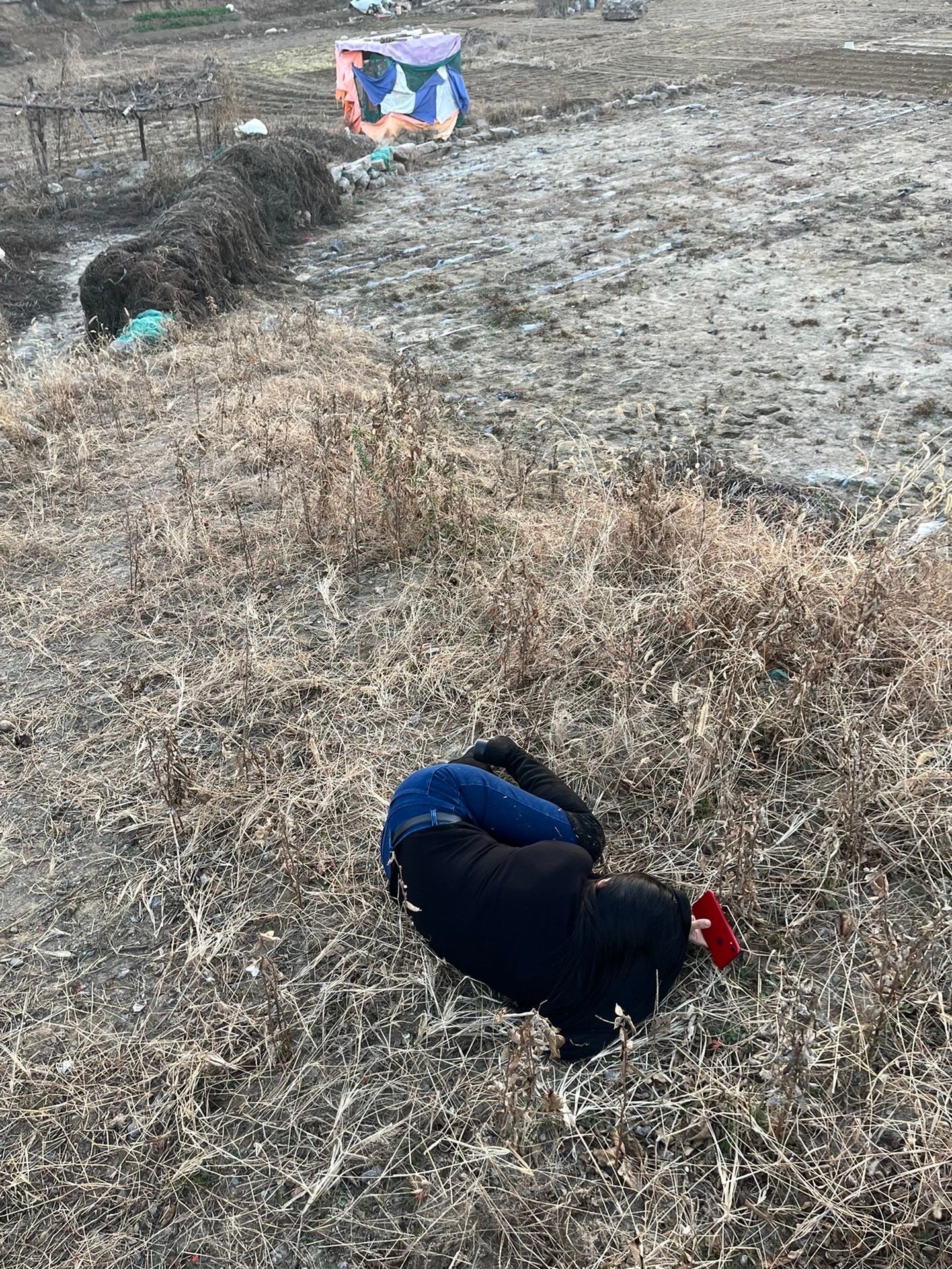 跪秘的迷惑行为大赏