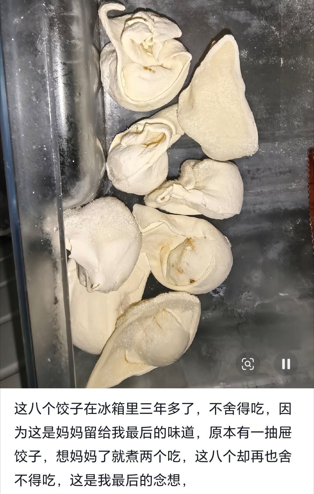 网友：这八个饺子在冰箱里三年多了，不舍得吃，因为这是妈妈留给我最后的味道，原本有