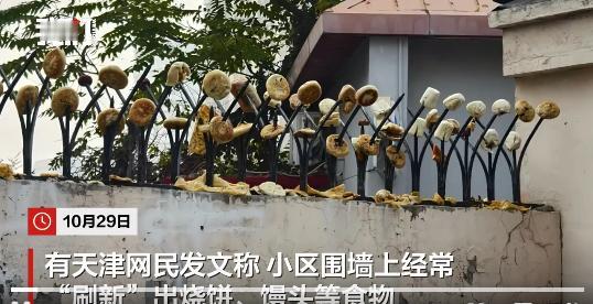 “影响环境!”10月29日,天津,小区原本用来防盗的尖刺上,整整齐齐地插满了金黄