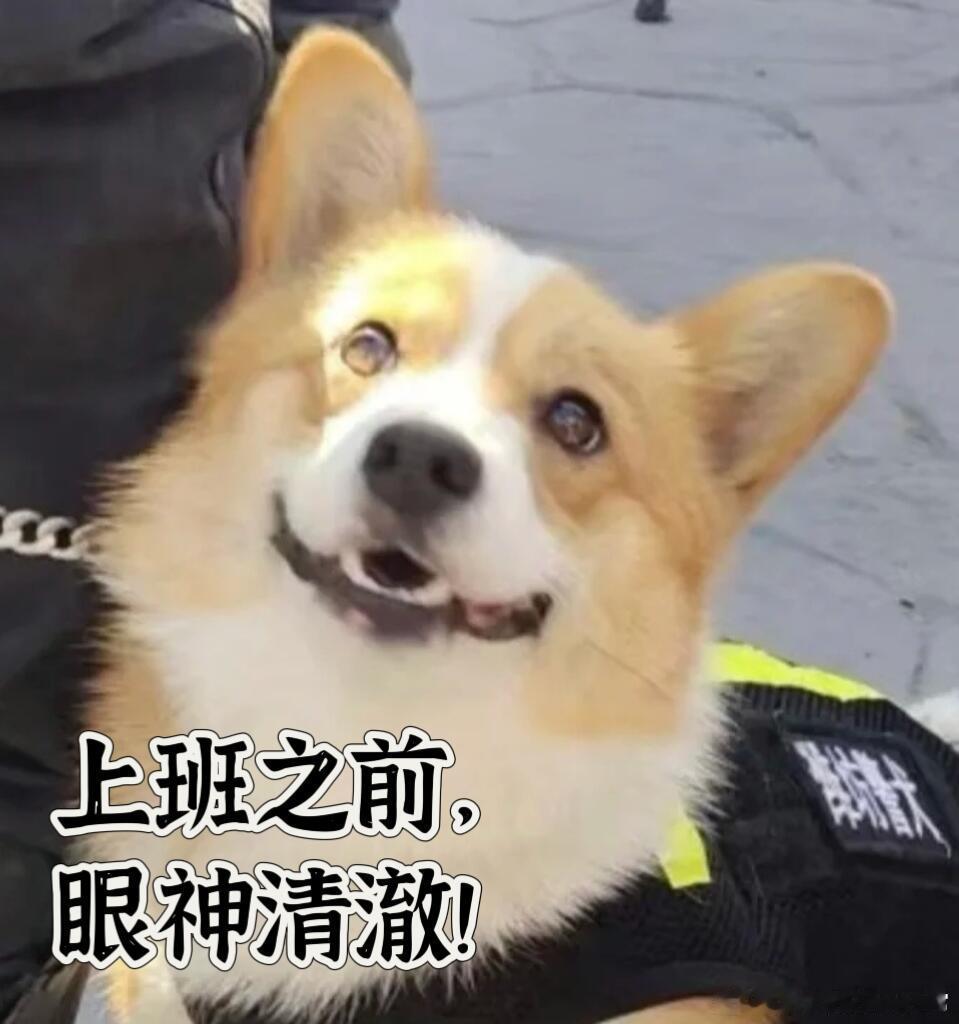 班味儿面前，众生平等职场那些事职场生存法则​​​