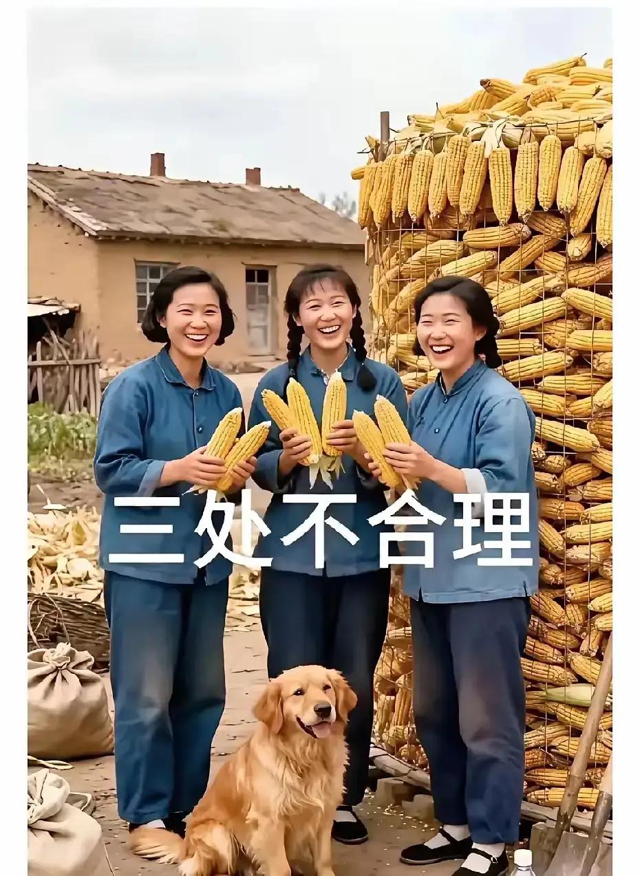 今年大丰收，喜悦挂心头。三处不合理，请您找缘由。