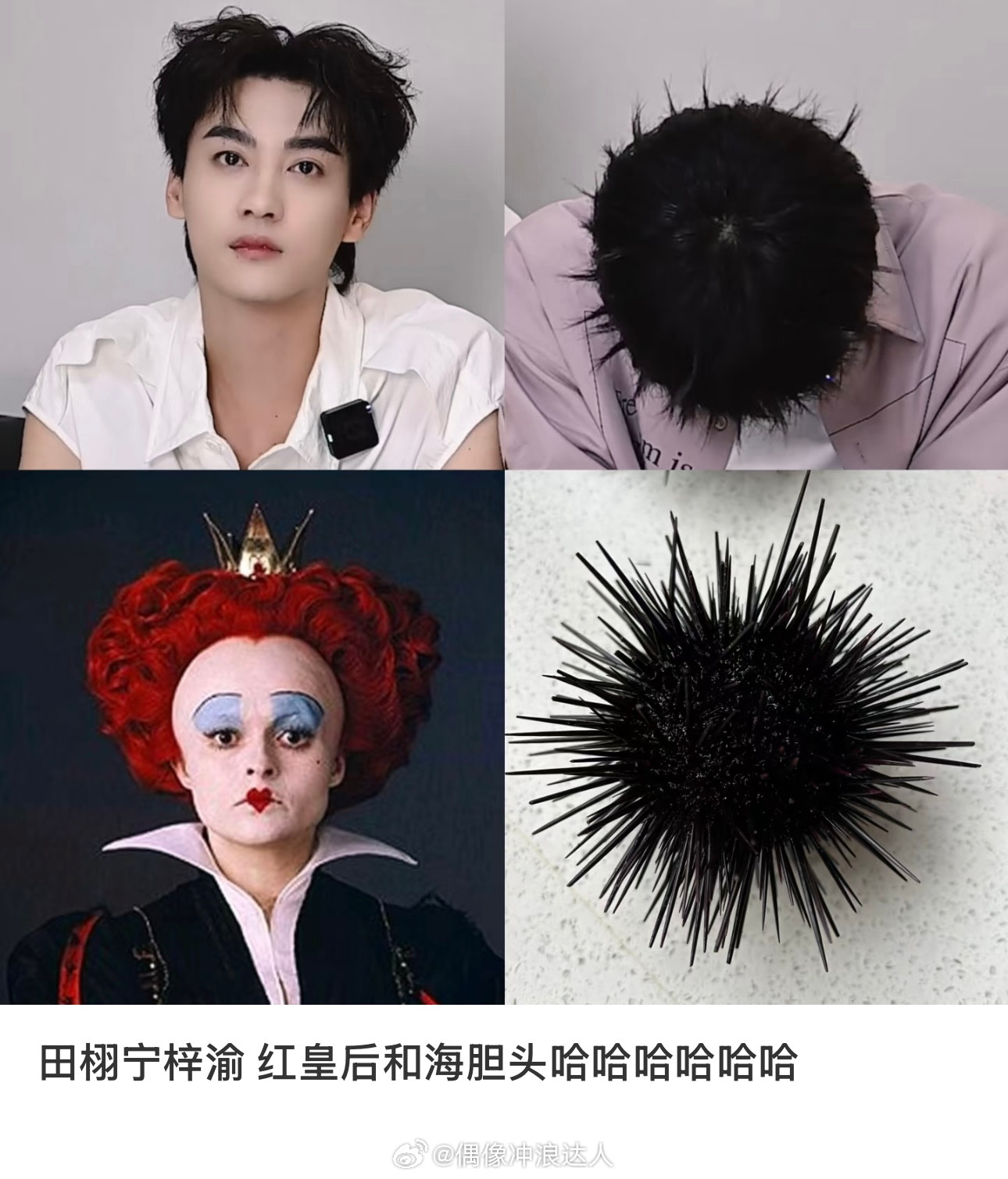 田栩宁梓渝发型笑的不行了！！！一个红皇后一个海胆头哈哈哈哈哈哈哈哈哈哈哈哈哈哈