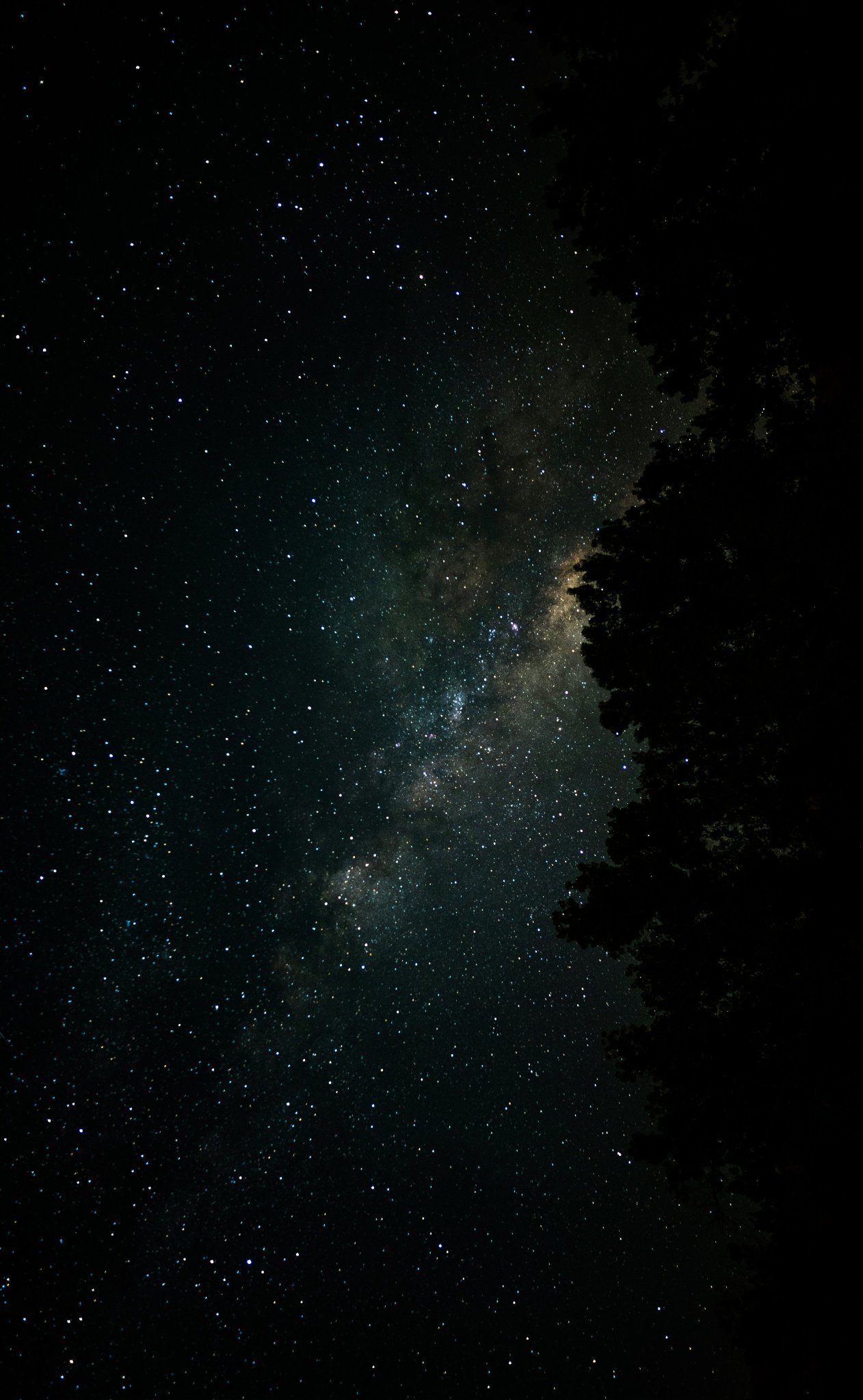 在宇宙的某个地方，外星生命可能正在问着和我们一样的问题，凝视着星星，想知道它们是