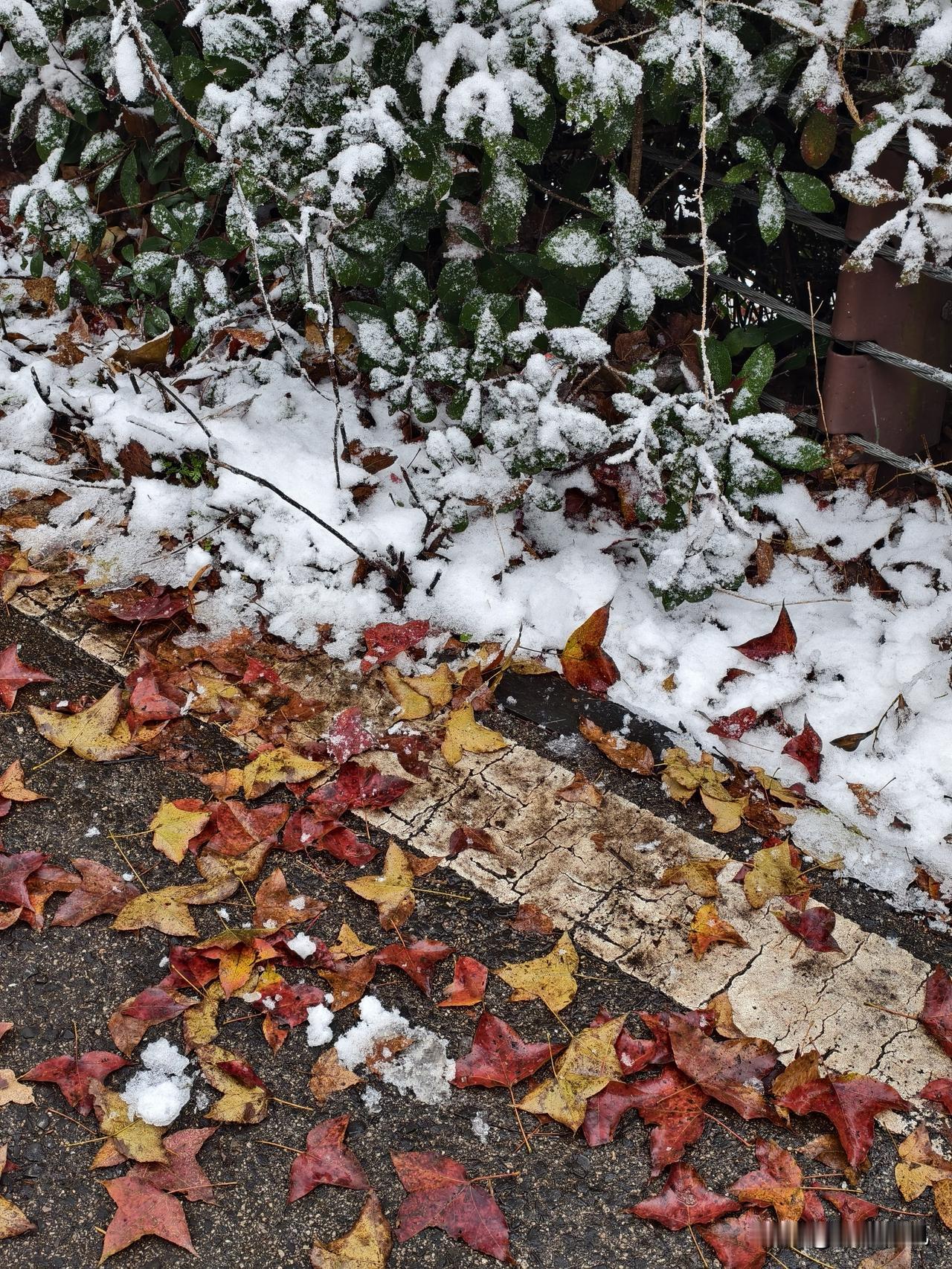 打顺风车回长沙，师傅说到我定位的位置接我，加30块钱高速费，我觉得太贵，最后协商