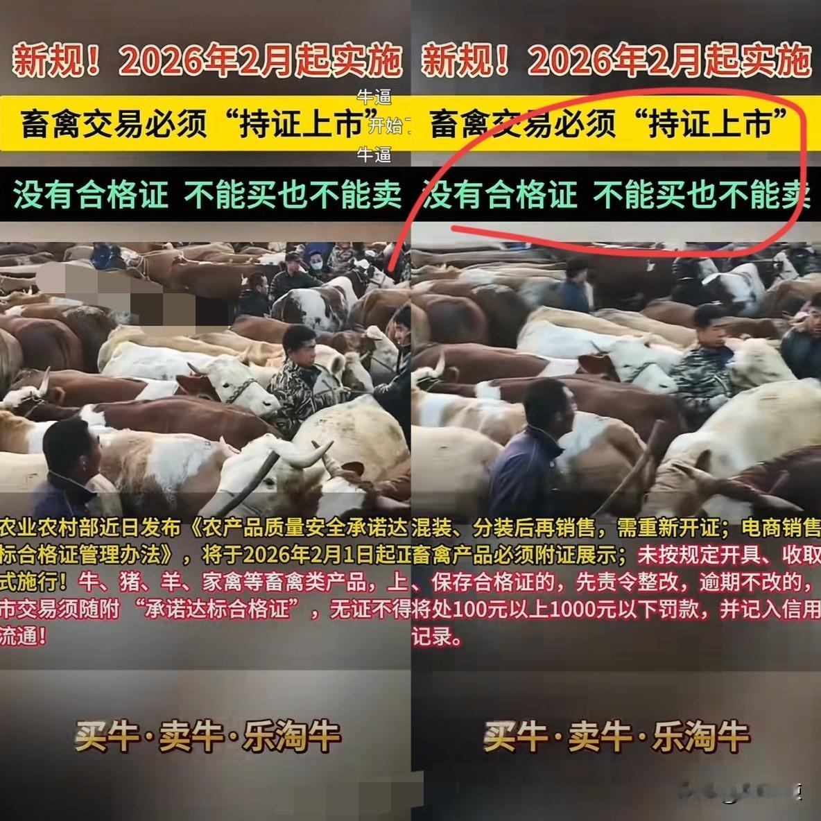 新规！畜禽交易要办证了、没有合格证不能买卖！2026年2月起，买肉禽先看合格
