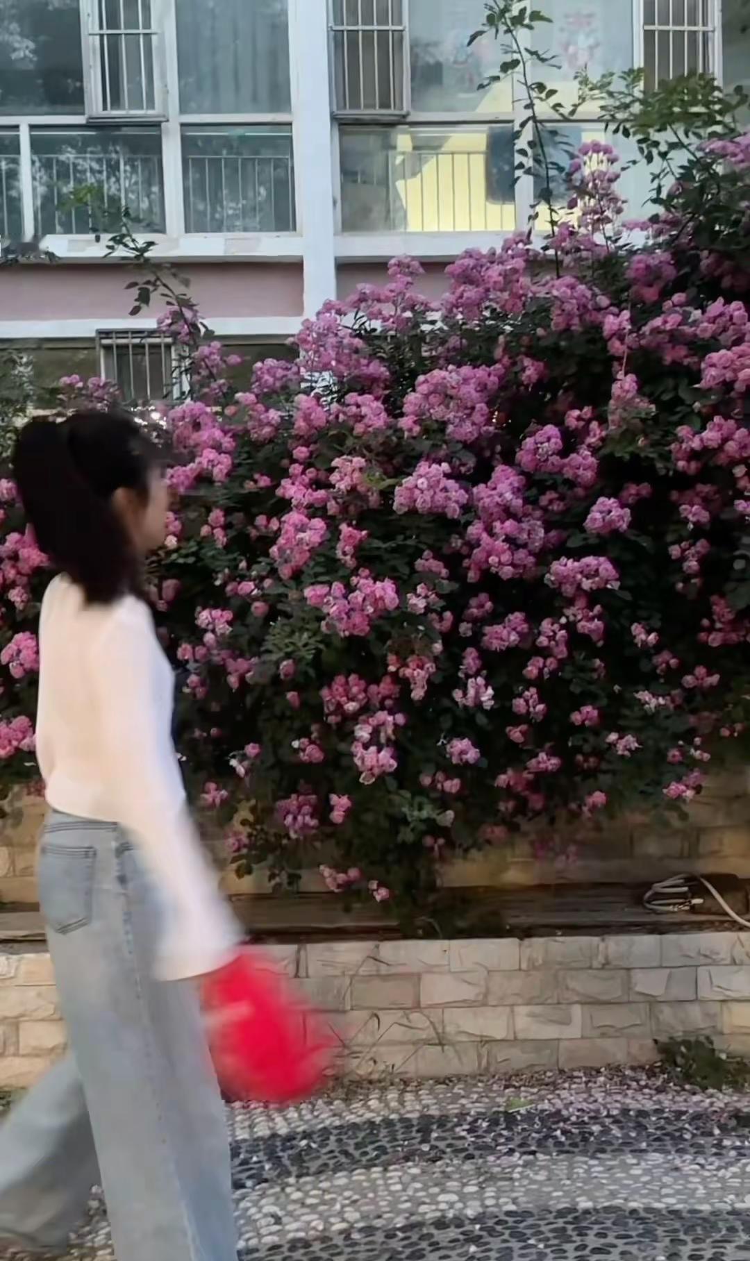 "Notomorrow,nonexttime,nothingint